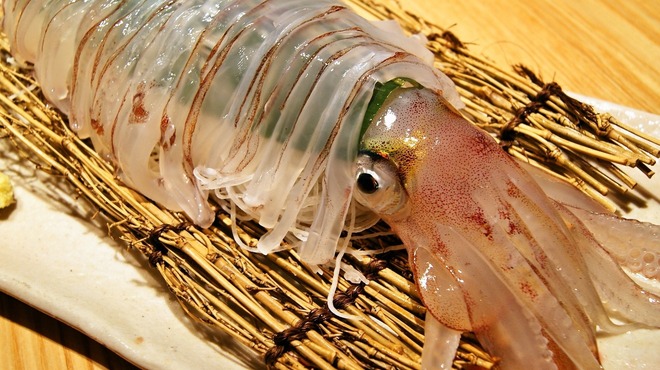 東京イカセンター - 料理写真: