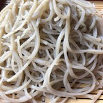 山法師 - 