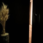 recte - メイン写真: