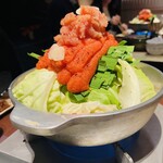Yakitori Motsu-nabe Motsu Fuku - 