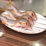 横鍋JAPAN - 