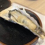 かきのおきて - 