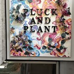 PLUCK AND PLANT - 